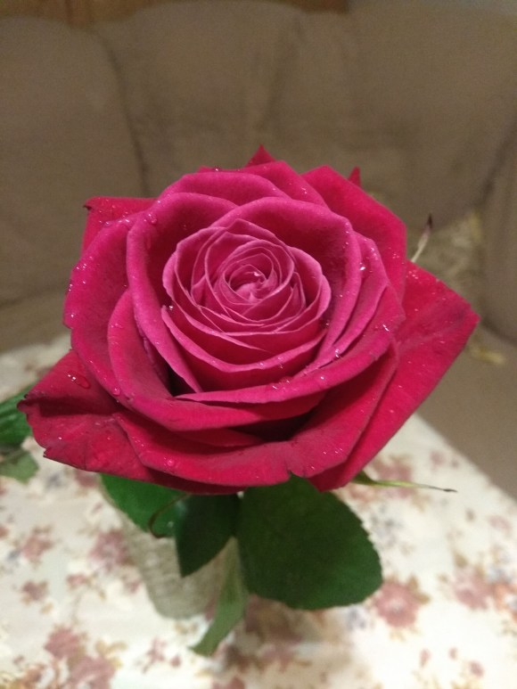 С днём рождения!!!